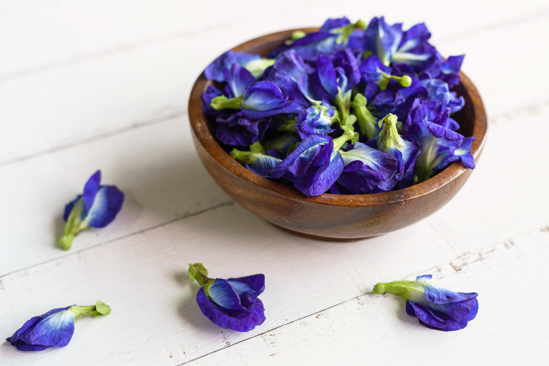 Butterfly pea or blue pea flower